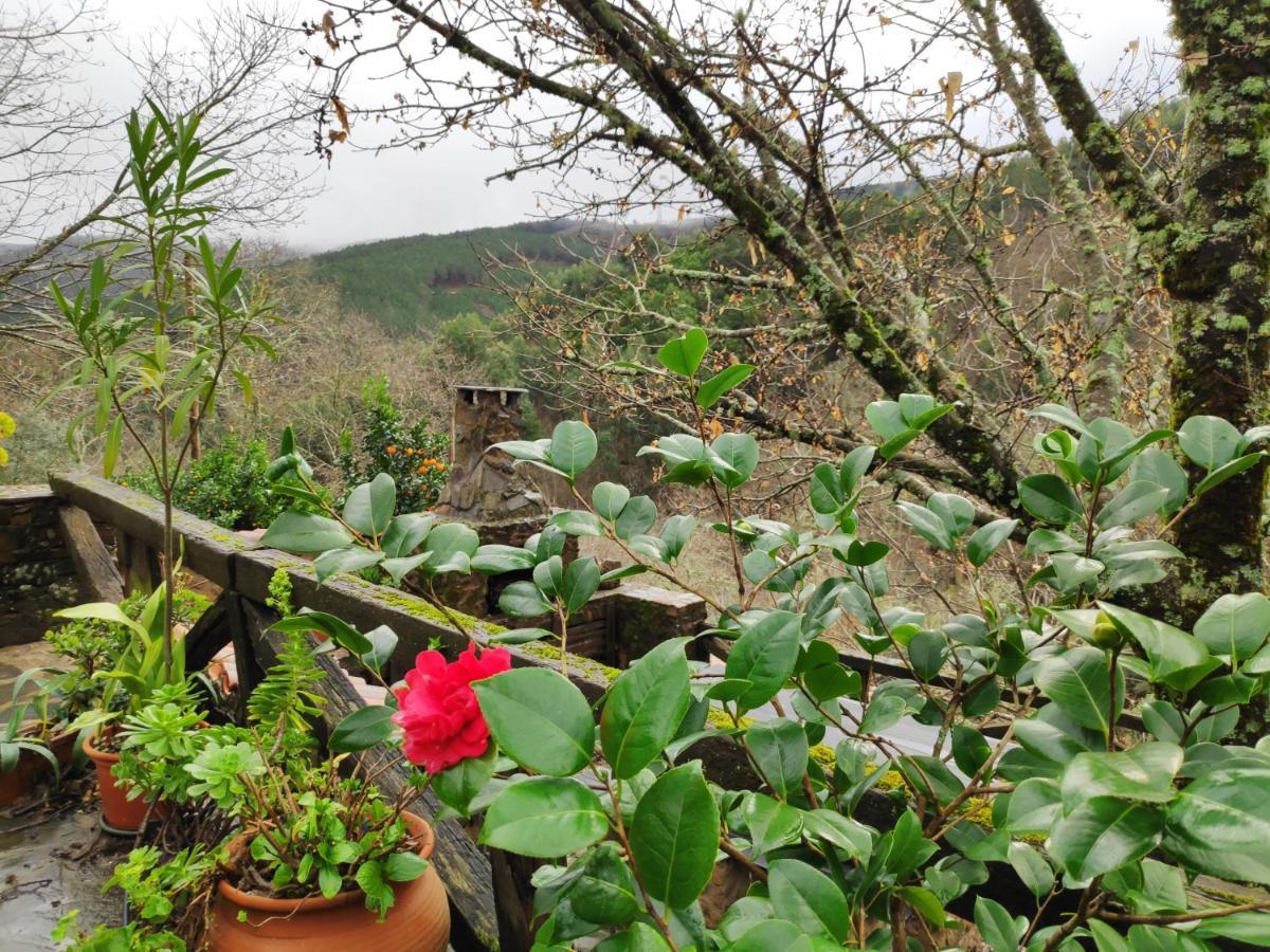 Casa Em Xisto Na Serra Da Lousa, Gondramaz Екстериор снимка