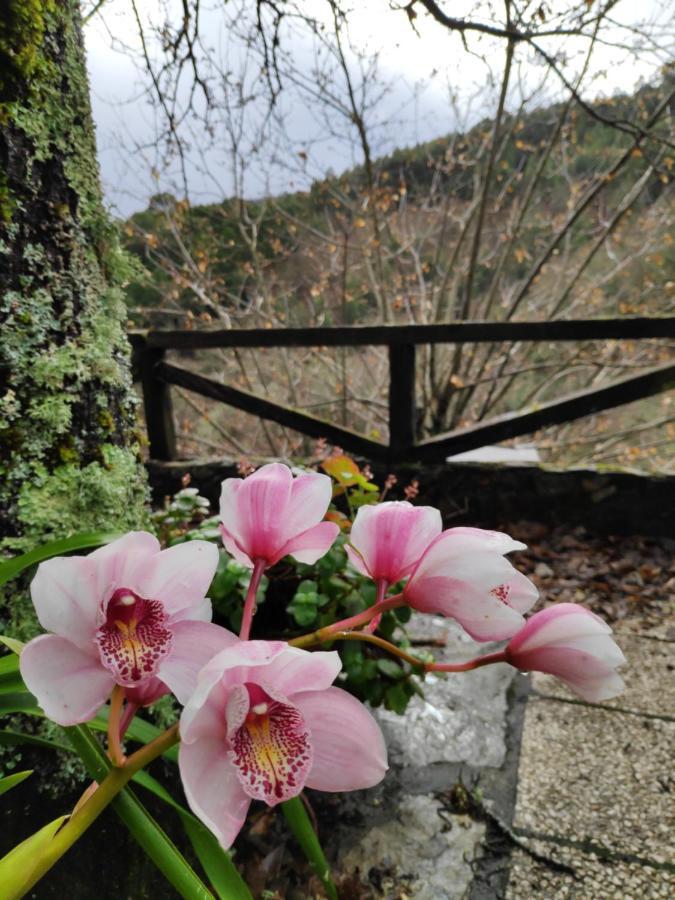 Casa Em Xisto Na Serra Da Lousa, Gondramaz Екстериор снимка